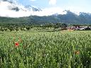Image Sample
